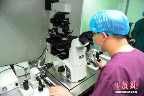 基因編輯的倫理邊界與科學責任 從賀建奎事件看人體干細胞技術(shù)的焦點與未來